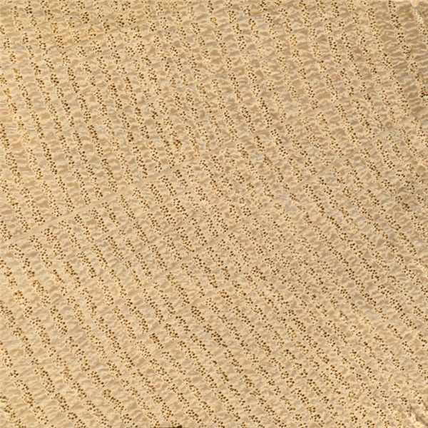 山東集成墻板圖片